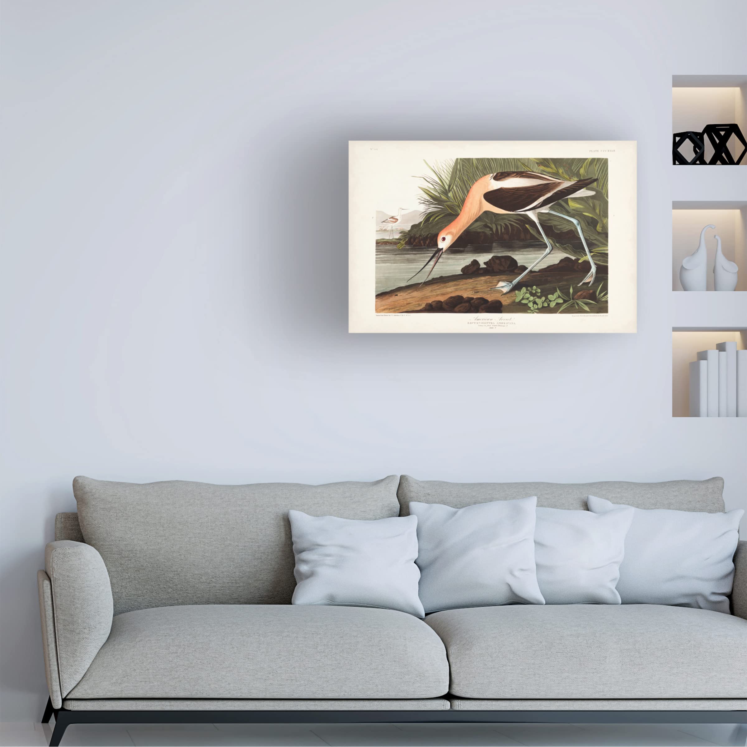 Trademark Fine Art 'American Avocet' Canvas Wall Art by John James Audubon - 30x47 Inches - Nature Wildlife Bird Painting for Living Room, Bedroom & Office Decor