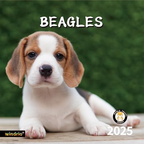 Beagles