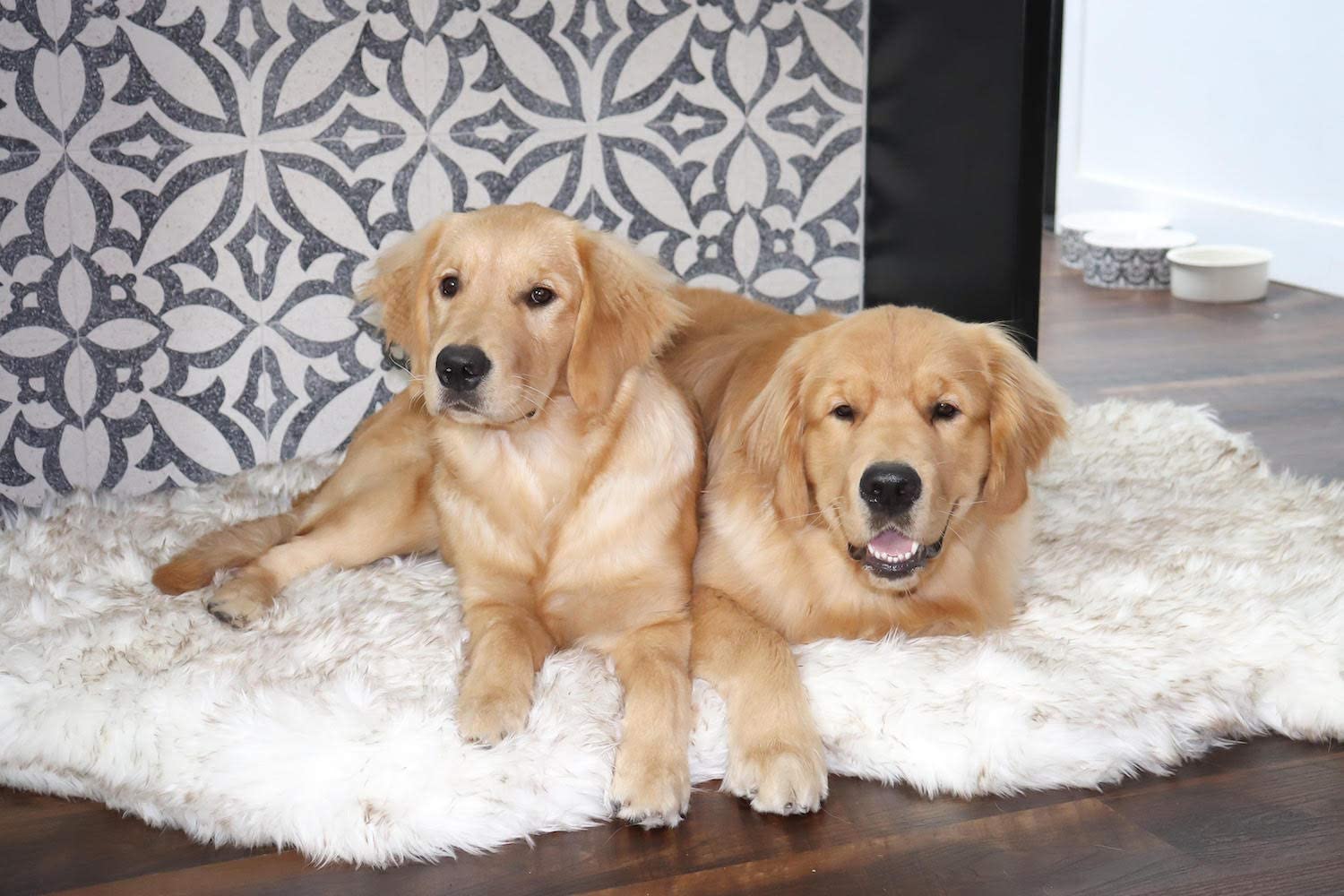 Orthopedic Dog Bed for Large Dogs - Memory Foam Support with Soft Faux Fur Cover - Waterproof & Machine Washable Pet Bed for Joint Pain Relief - Extra Large White Couch Bed - Perfect for Living Room, Bedroom & Pet-Friendly Spaces
