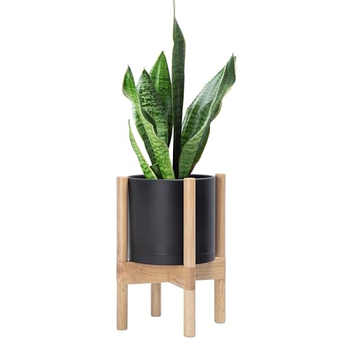 Matte Black Pot + Natural Stand