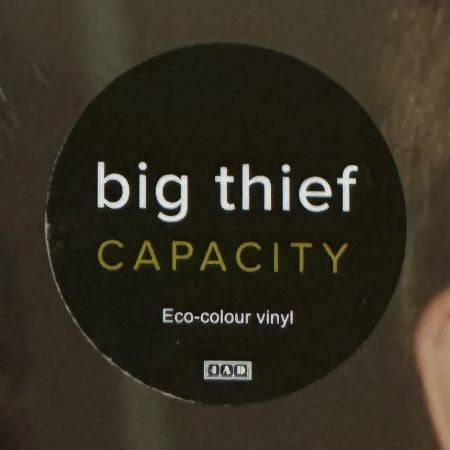 Big Thief 2 - Premium Quality Theft Deterrent Device for Home & Business Security | Anti-Theft Alarm System for Doors, Windows & Valuables Protection