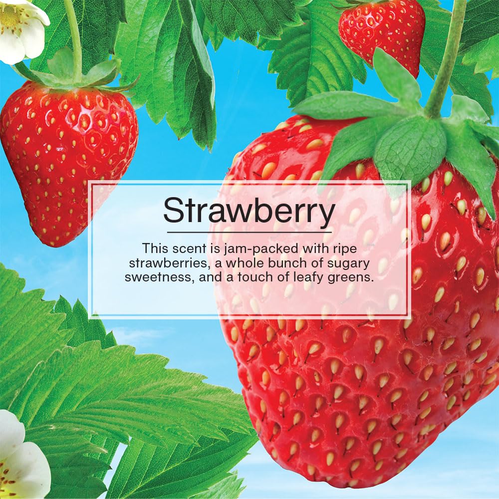 LITTLE TREES Car Air Fresheners - 24 Pack Hanging Tree Fresheners with Long-Lasting Strawberry Scent for Auto, Home & Office | Perfect for Cars, Closets, Bathrooms & Small Spaces