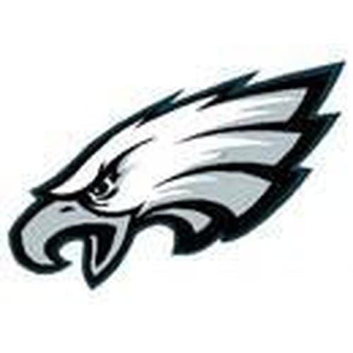 KR Strikeforce NFL Philadelphia Eagles Premium Microfiber Towel - Super Absorbent & Quick-Drying for Game Day, Gym & Outdoor Activities