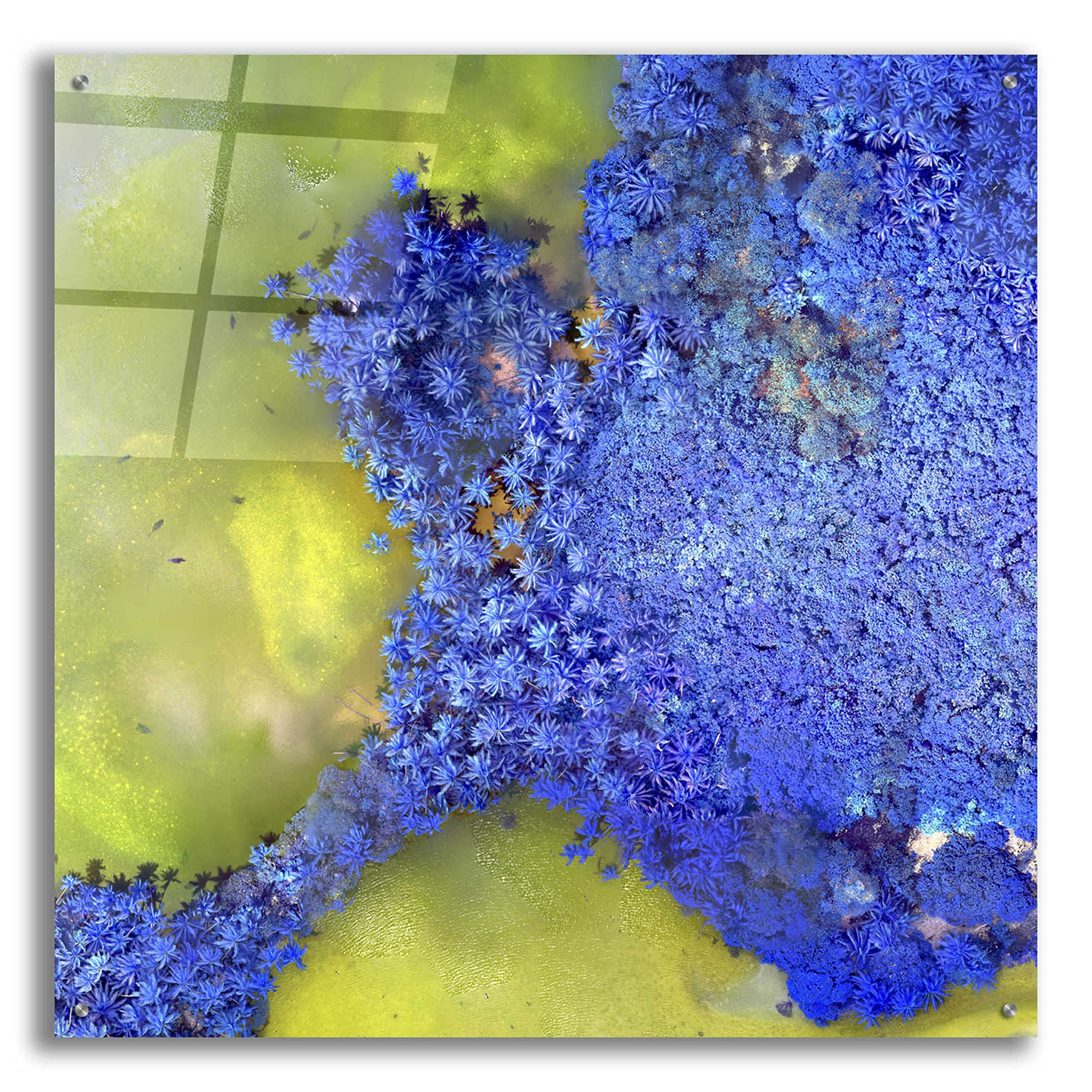 Epic Art 'Earth as Art: Palmyra' - 36x36 Inch Acrylic Glass Wall Decor - Modern Home & Office Wall Art - Perfect for Living Room, Bedroom or Office Decor