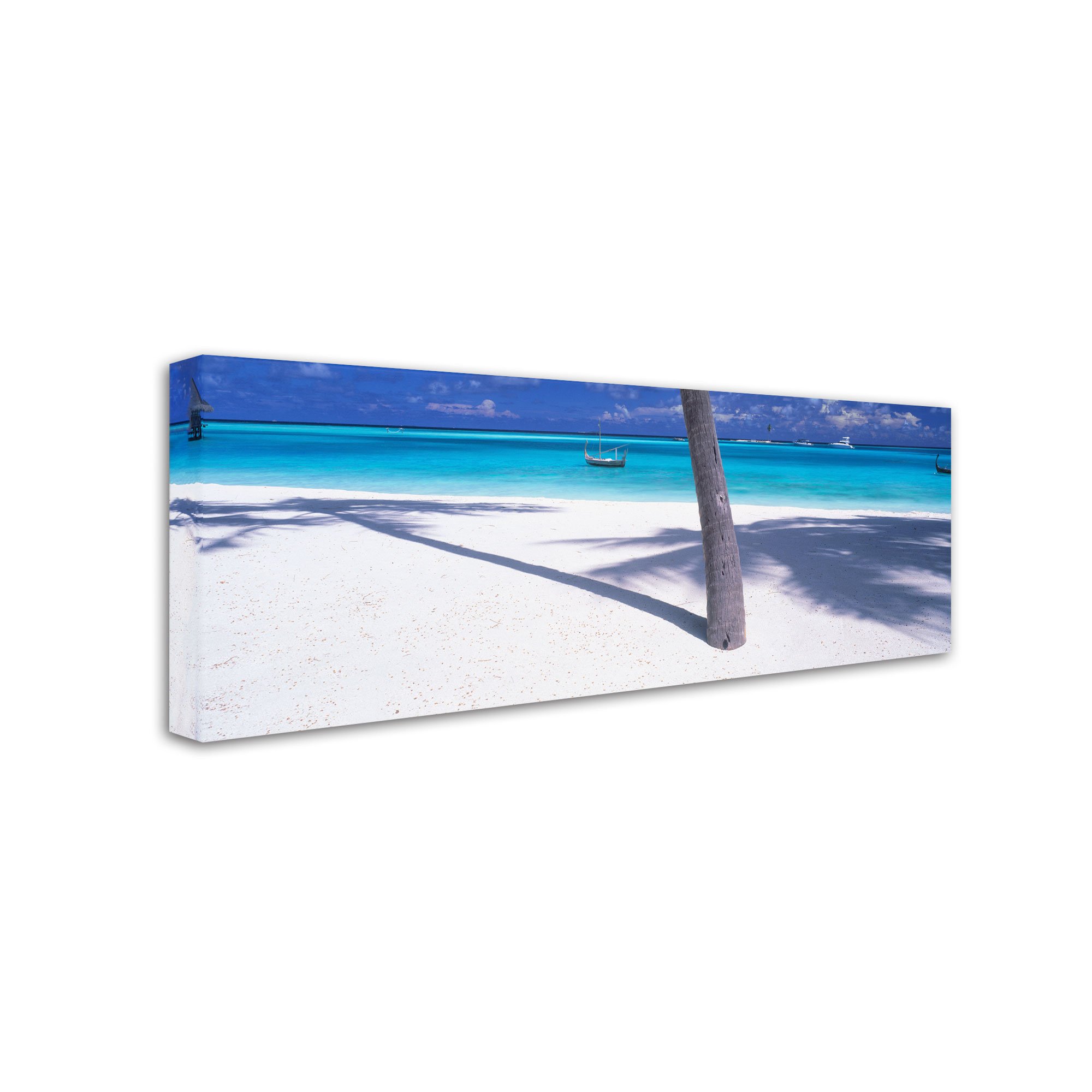 David Evans Palm Shadow-Maldives Wall Art Print - 6x19 Inches - Tropical Beach Decor for Living Room, Bedroom & Office