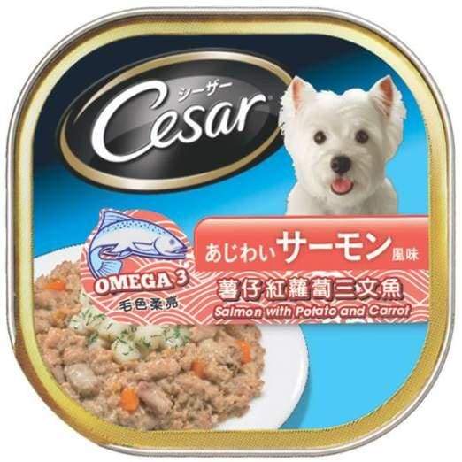 Premium Cesar Salmon with Potato & Carrot Pate Tray Dog Food 100g - Grain-Free Wet Food for Small & Medium Dogs - Perfect for Mealtime, Training Treats & Senior Dogs