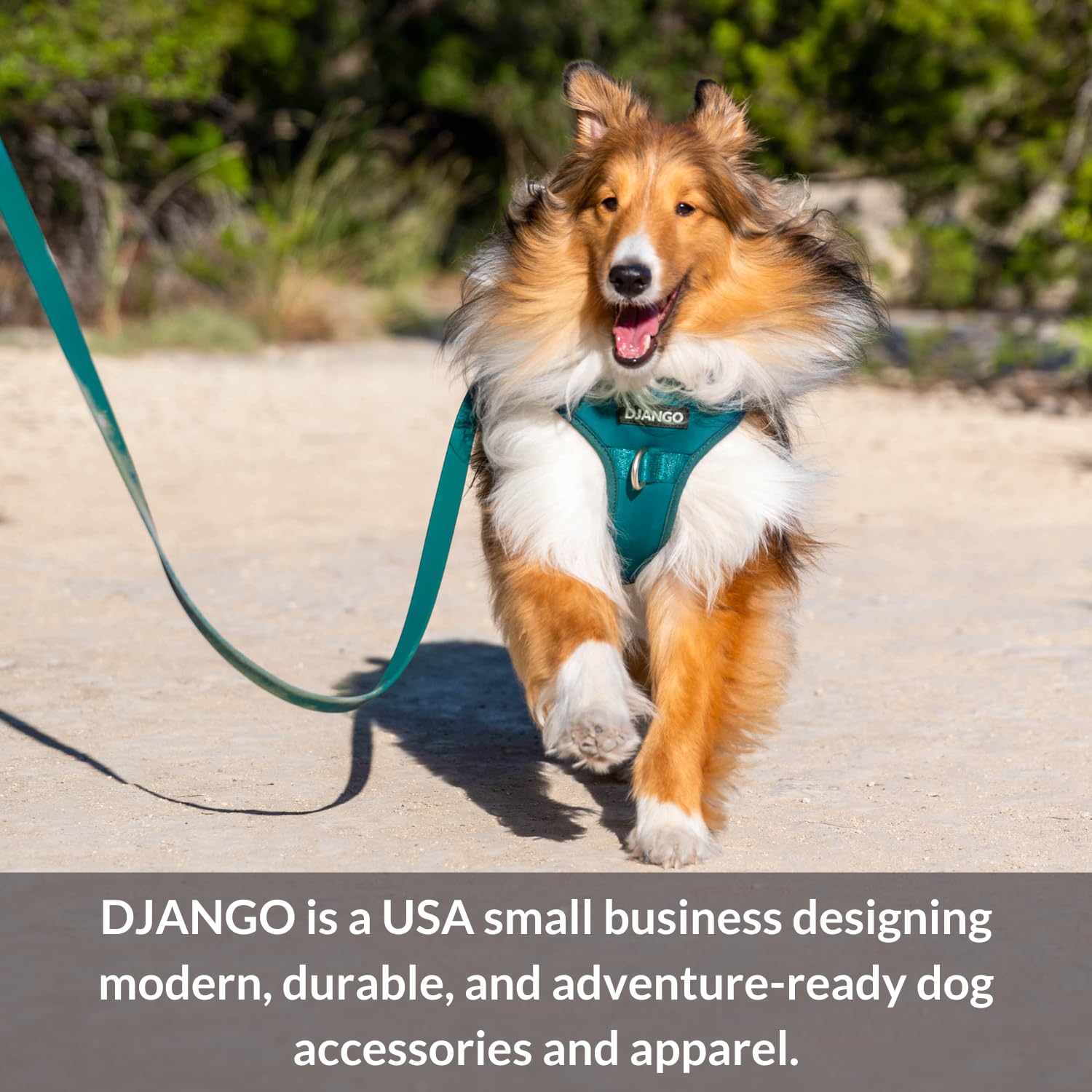 DJANGO Highland Waterproof Dog Jacket with Hood - Adjustable Lightweight Blue Coat for Small & Medium Dogs | Harness Hole, Cozy Lining & Back Pocket | Perfect for Outdoor Hiking, Winter Walks & Rainy Day Adventures (Medium, Blue)