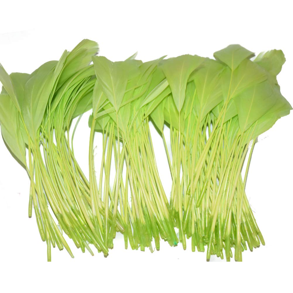 MELADY Fashion 5-7 Inch Chicken Tail Feather Dress for Sewing, Crafts, Costumes & Decorations - Light Green | Perfect for Cosplay, Halloween Costumes, DIY Projects & Party Decor