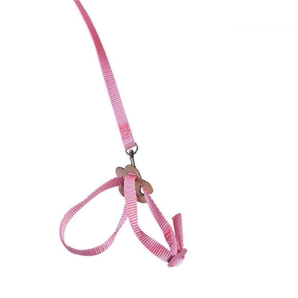 Adjustable Parrot Harness Leash - Anti-Bite Bird Training Rope for Outdoor Flying & Walking - Pink Pet Safety Lead - Perfect for Parrot Training, Park Adventures & Backyard Playtime