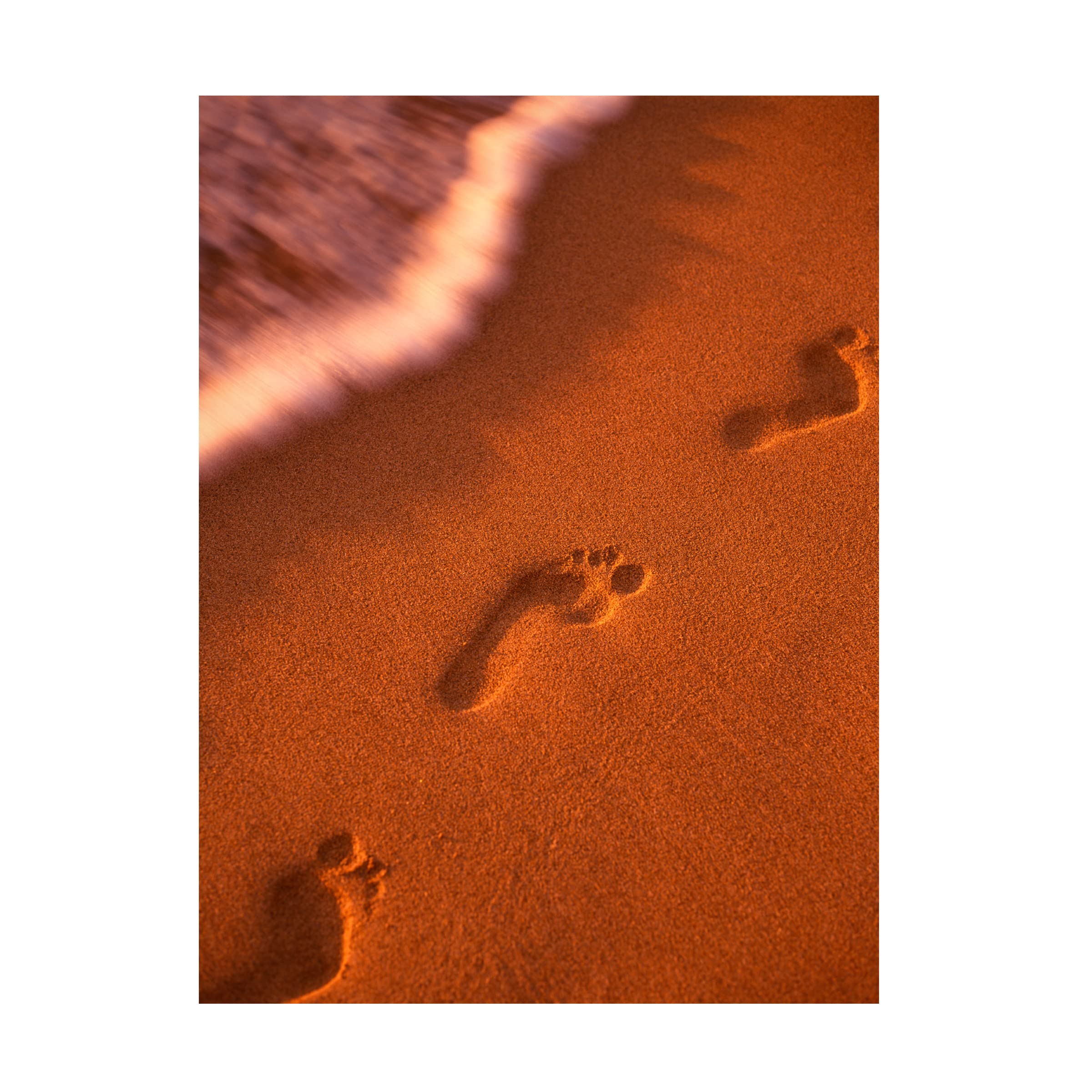Trademark Fine Art 'Footprints in the Sand' Canvas Wall Art Print by Dennis Frates - Inspirational Beach Decor for Living Room, Bedroom & Office