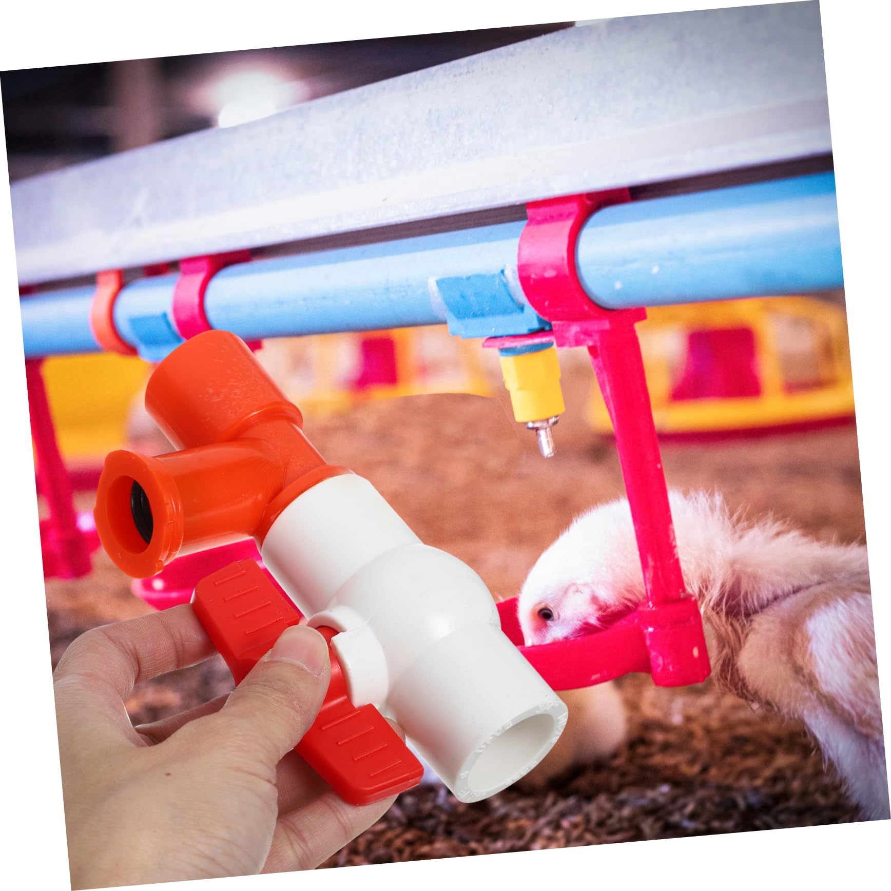 BCOATH Water End Valve Set with Pressure Regulator & Water Level Display for Hose Coop - Ideal for Garden Irrigation and Water Management