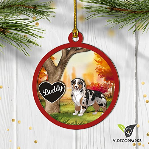 Australian Shepherd-01