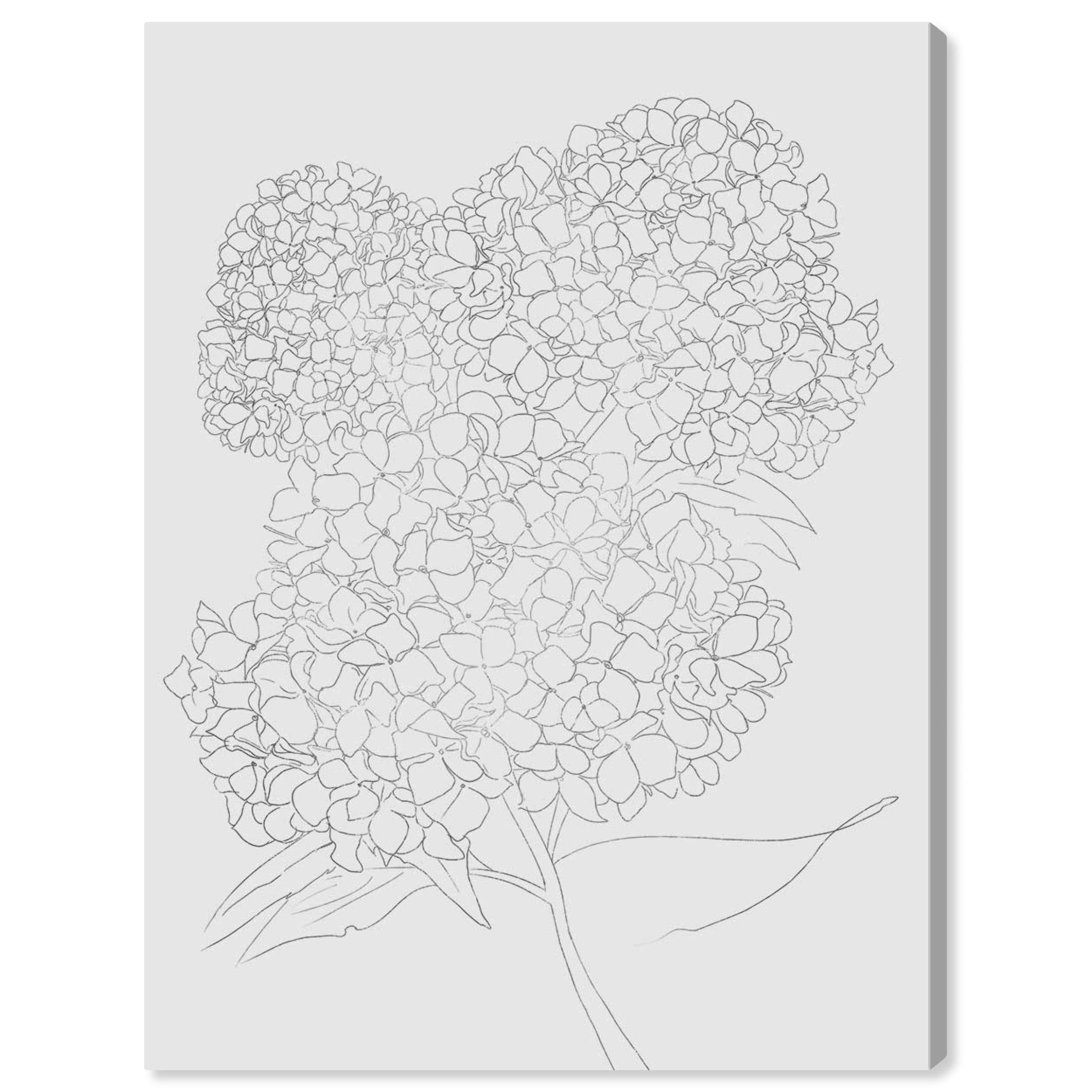 Oliver Gal Artist Co. Floral Wall Art Canvas Print 'Hydrangea' - 30x36 Inch Gray & White Home Decor - Perfect for Living Room, Bedroom & Office Wall Decoration
