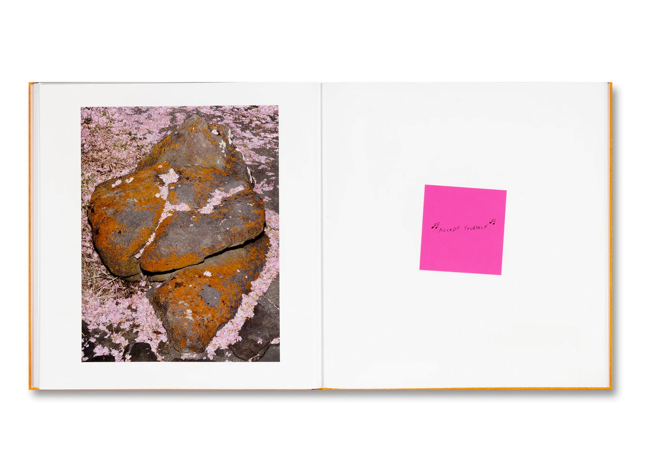Alec Soth Signed Book: Advice for Young Artists - Photography Guide & Inspiration for Aspiring Creatives | Perfect Gift for Art Students & Photography Enthusiasts