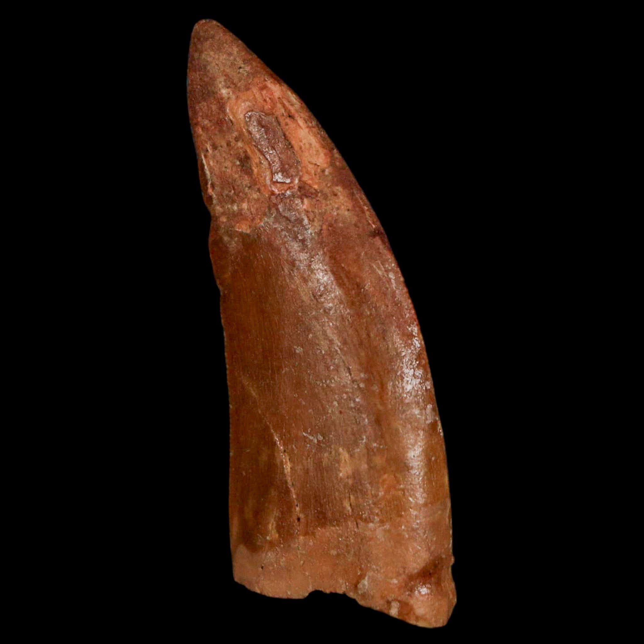 1.6