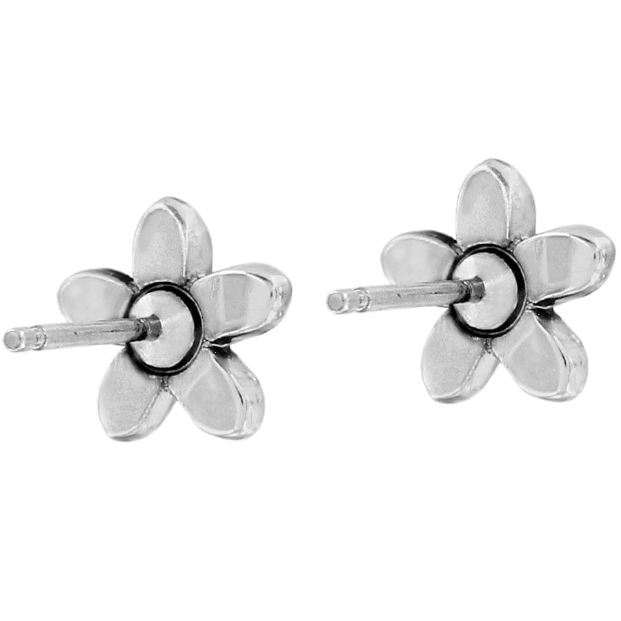 Baroness Fiori Mini Post Earrings - Elegant Gold Plated Stud Earrings for Women | Perfect for Everyday Wear, Office, Parties & Special Occasions
