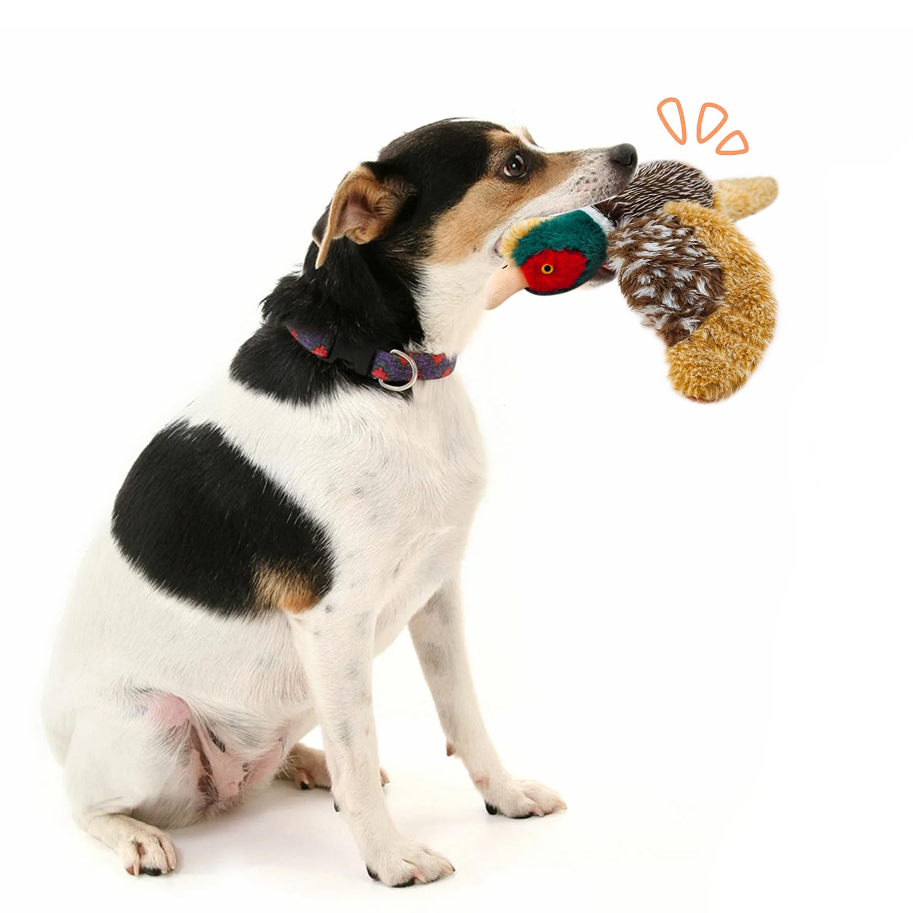 Interactive Dog Toys for Small, Medium & Large Dogs - Squeaky Pheasant Puzzle Plush Toy for Mental Stimulation & Play | Perfect for Indoor Playtime, Training & Chewing Fun