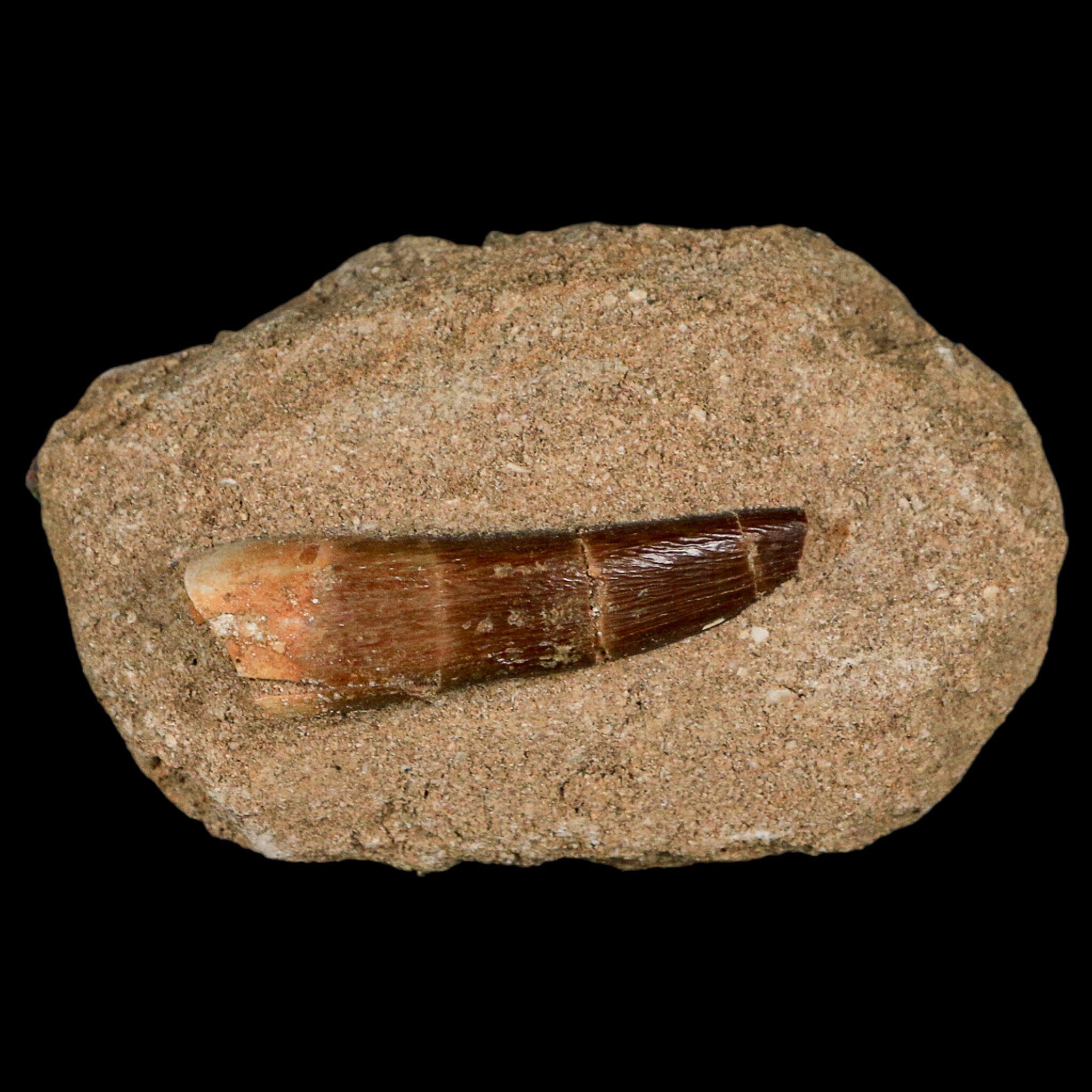 1.8