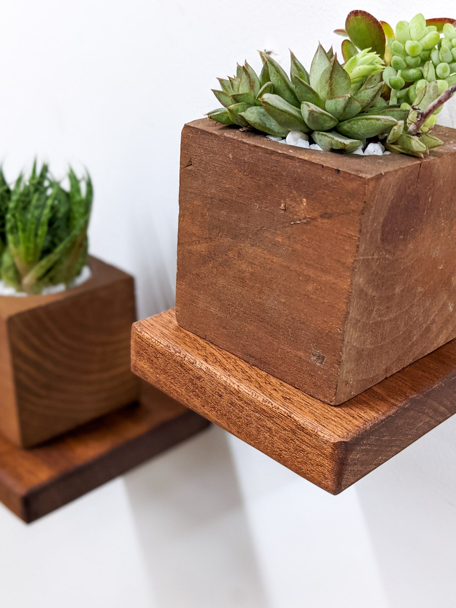 Mahogany Small Square Display Shelf - Elegant Wooden Shelf for Home Decor, Books & Collectibles | Perfect for Living Room, Bedroom & Office Organization