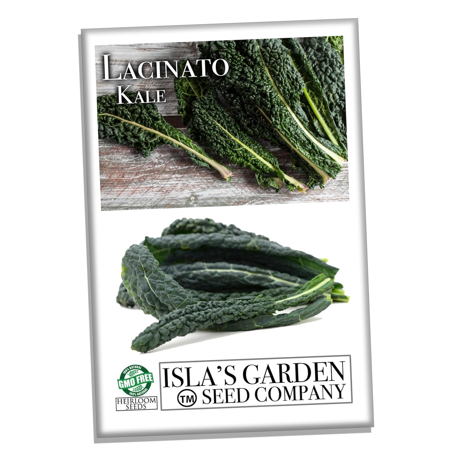 Organic Lacinato Kale Seeds for Planting - 500+ Heirloom Non-GMO Seeds (Brassica oleracea) | Perfect for Home Gardening, Urban Farming & Healthy Cooking | Great Gift for Gardeners