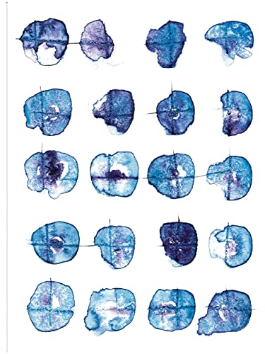 Indigo Pattern