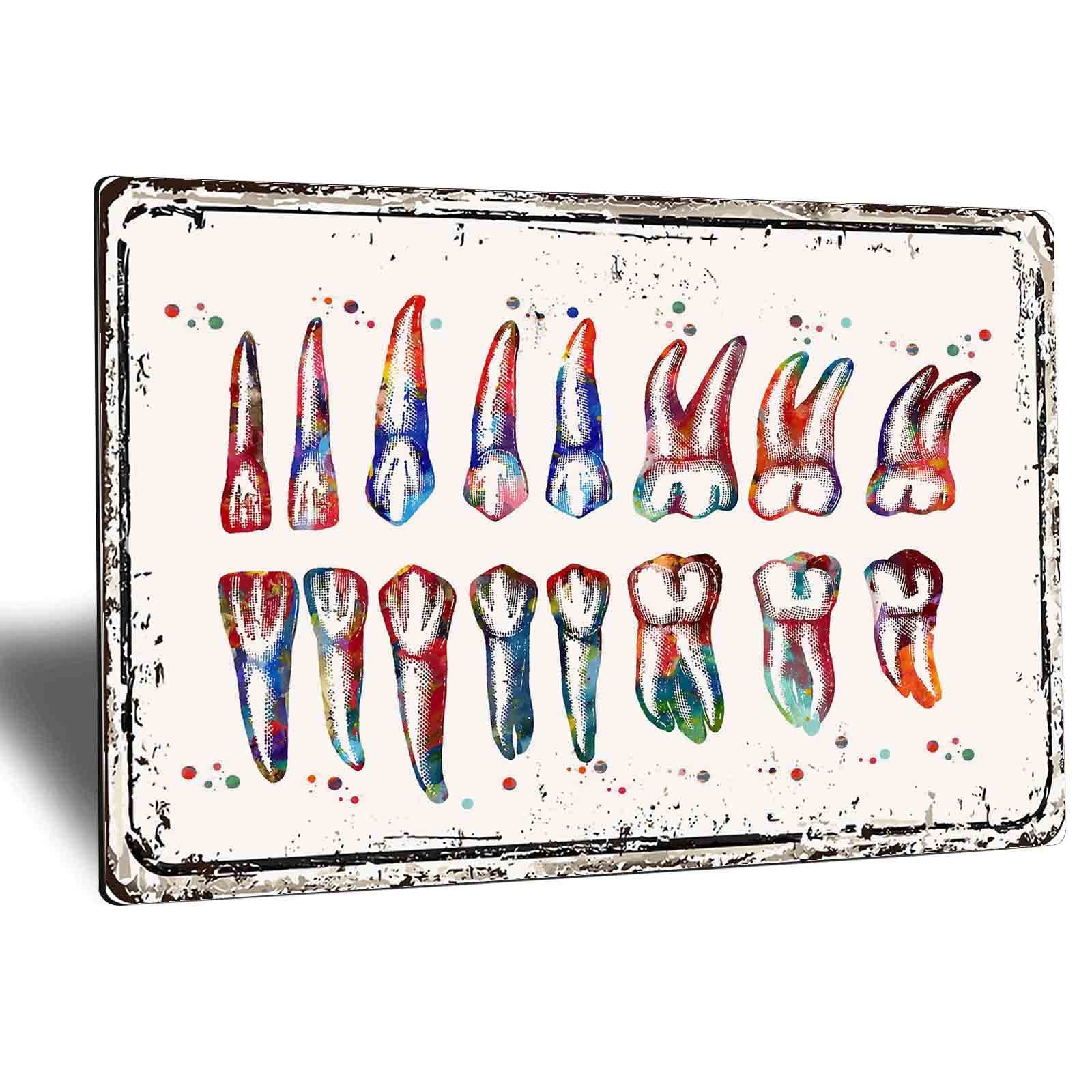 12x16 Inch Metal Wall Art - Dental Anatomy Poster with Teeth & Roots, Vintage Tin Sign for Dentist Office Decor, Home or Clinic - Durable 0.4