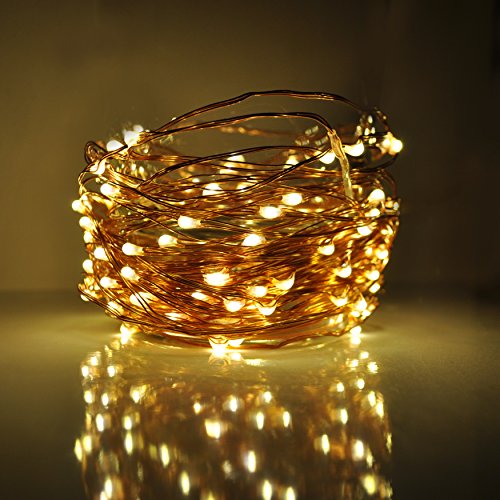 33 Foot 100 LED - Warm White