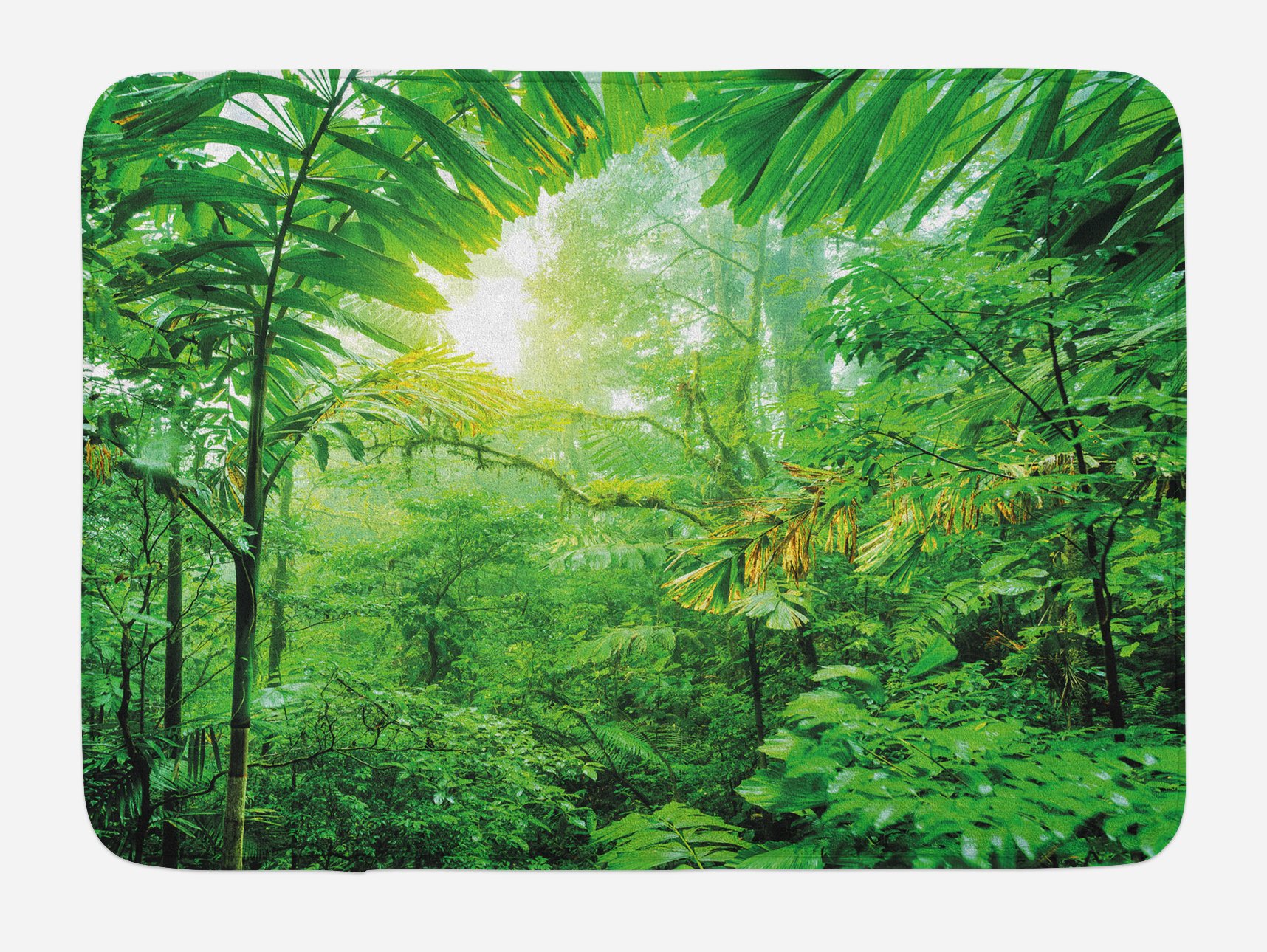 Lunarable Nature Bath Mat - Non-Slip Plush Bathroom Rug with Costa Rica Rainforest Jungle Photo, 30.2 x 20 Inches, Green - Perfect for Bathroom Decor & Spa Relaxation