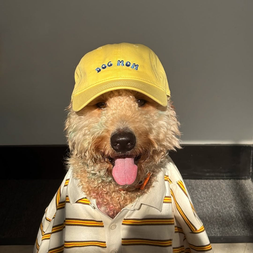 BYOP Dog Mom Hat - Cute & Stylish Baseball Cap for Dog Lovers - Perfect for Walks, Parks & Pet-Friendly Outings