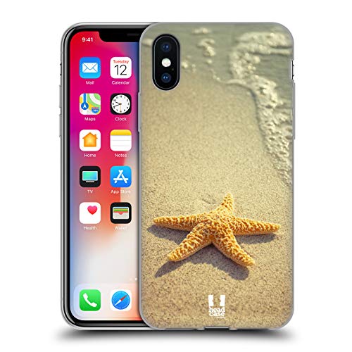 Starfish By The Shore