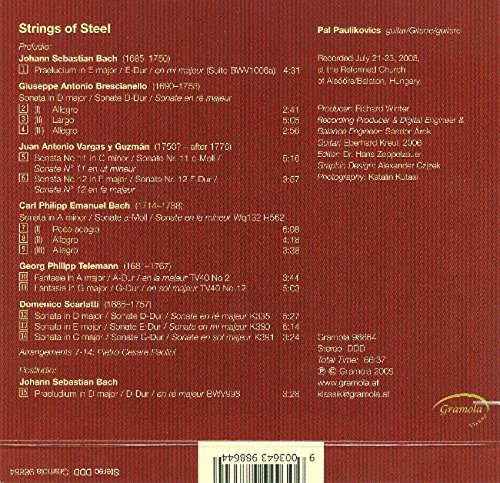 Premium Steel Guitar Strings - Durable & Bright Tone for Acoustic & Electric Guitars | Perfect for Live Performances & Studio Recording