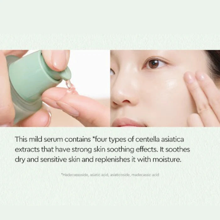 Dewytree Heartleaf 100 Soothing Serum 40ml - Calming Facial Treatment for Sensitive & Acne-Prone Skin | Perfect for Daily Skincare Routine & Post-Procedure Care