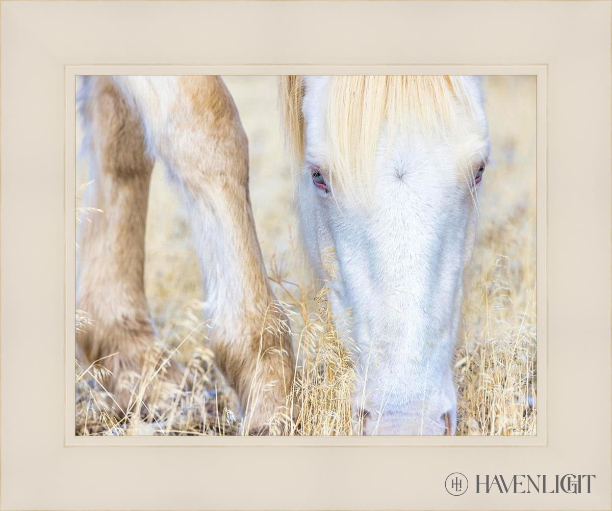 Dry Grass by Greg Sargent - Premium Handcrafted Home Decor for Rustic & Farmhouse Style - Perfect for Wall Art, Shelf Displays & Cozy Living Room Decor