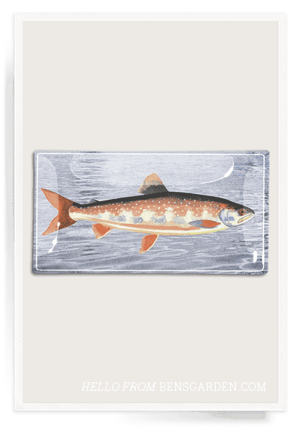 Vintage Fish No. 3 Decoupage Glass Tray - Elegant Serving Tray for Tea, Coffee, and Desserts - Perfect for Home Decor and Gift Giving