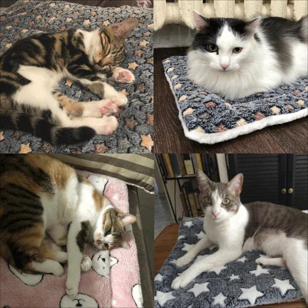 Soft & Cozy Cat Blanket for Anxiety Relief - Calming Weighted Blanket for Stress & Sleep - Perfect for Cats with Separation Anxiety or Nervous Pets (Home & Travel Use)