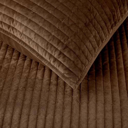 Cocoa Brown