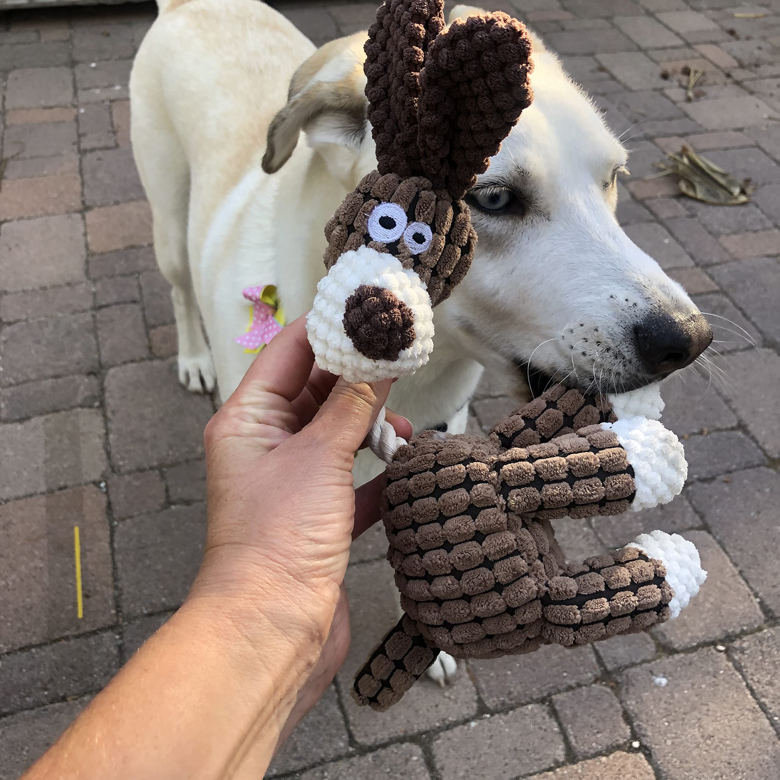 Durable Farm Animal Dog Chew Toy with Squeaker & Rope - Perfect Interactive Play Toy for Small Dogs - Great for Indoor & Outdoor Fetch Games