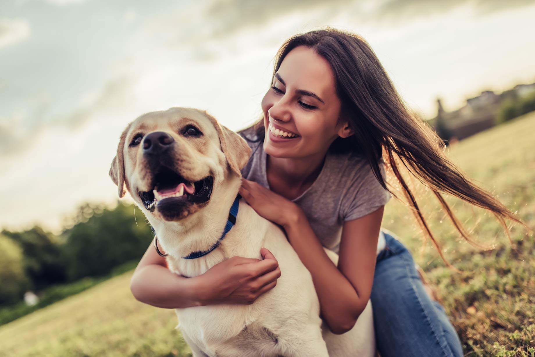 Natural Cranberry Dog Urinary Tract Supplement - Vet Recommended Bladder Health Support for Dogs - 180 Treats (2 Bottles) - Perfect for Daily Use & Urinary Care Maintenance