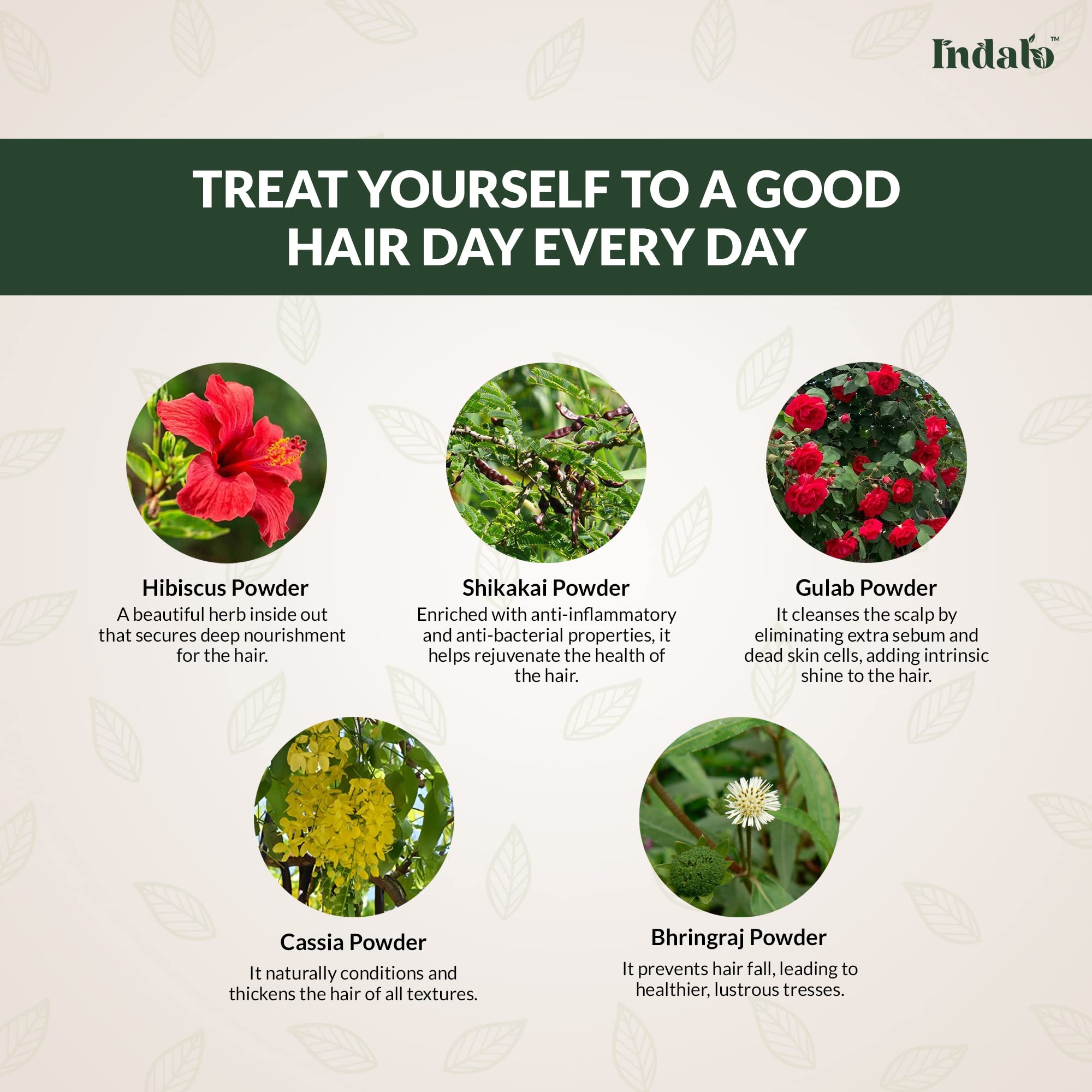 Indalo All-Natural Hair Treatment Pack with Hibiscus & Bhringraj - Ammonia Free, PPD Free, No Peroxide or Parabens - Deep Conditioning Hair Mask for Hair Growth & Anti-Dandruff - 100g for Men & Women - Perfect for Damaged Hair Repair & Scalp Care at Home