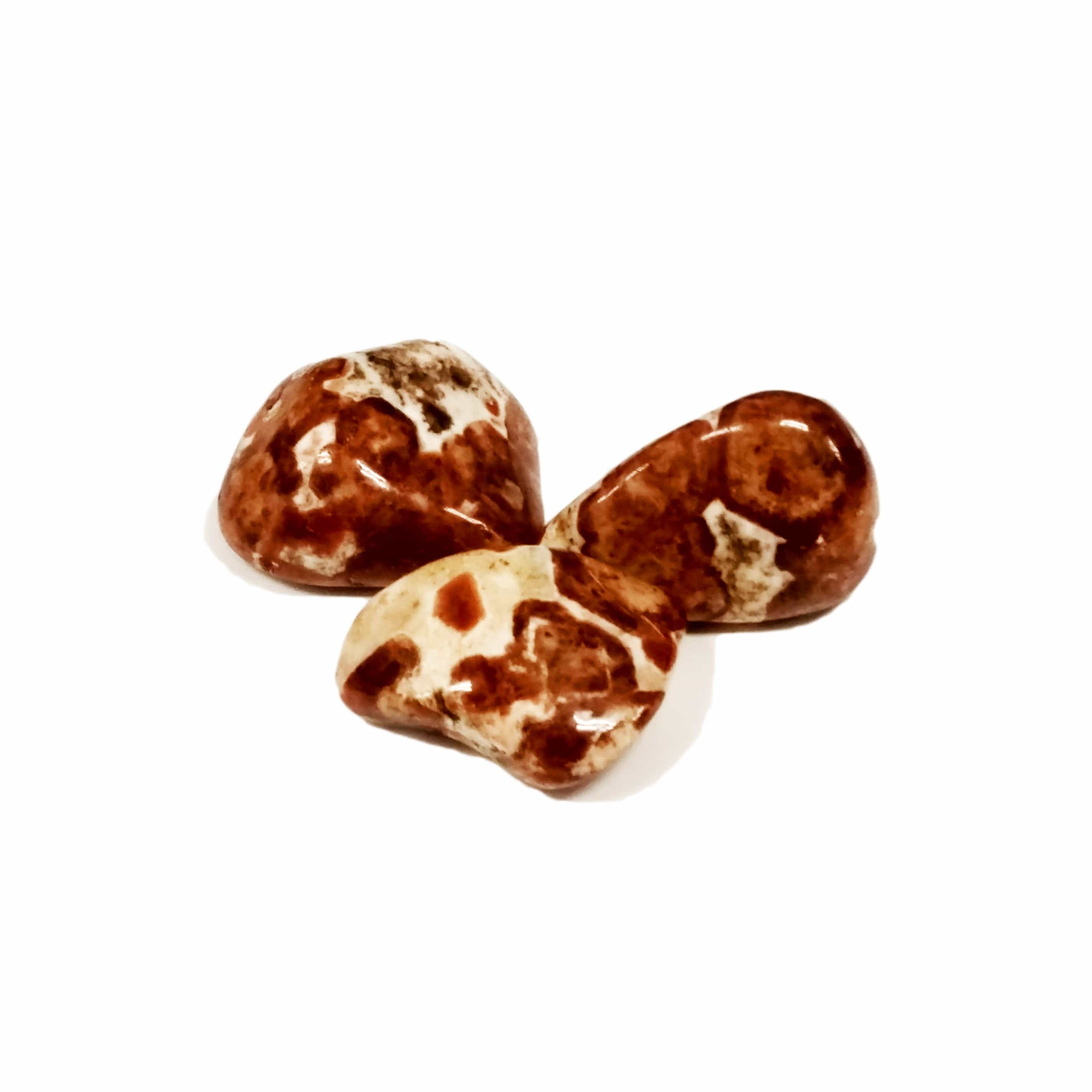 Natural Garnet in Limestone Tumbled Pocket Stone - Healing Crystal for Meditation, Stress Relief & Positive Energy
