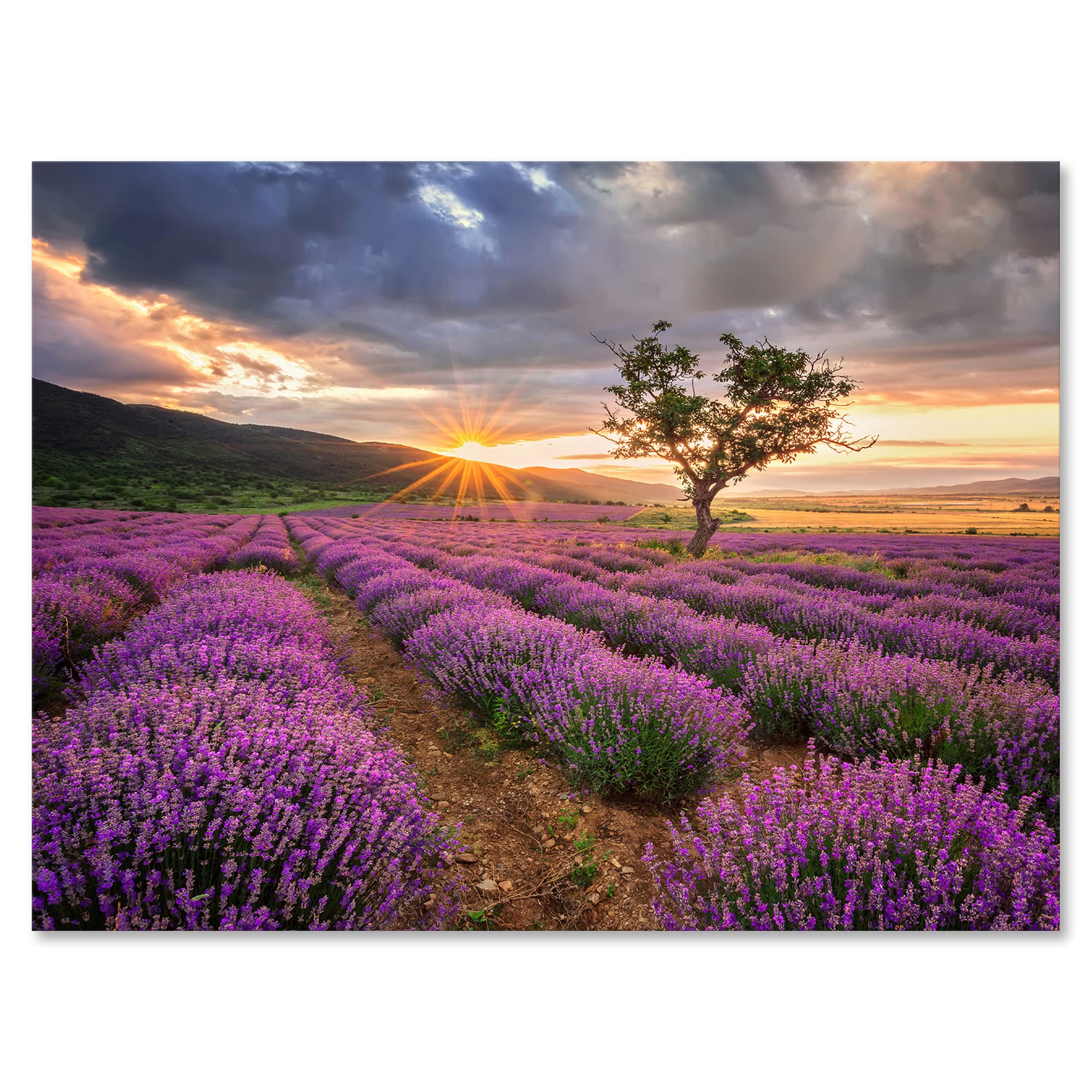 DesignQ Sunrise & Dramatic Clouds Over Lavender Field VIII - Farmhouse Style Canvas Wall Art Print for Living Room, Bedroom & Office Decor