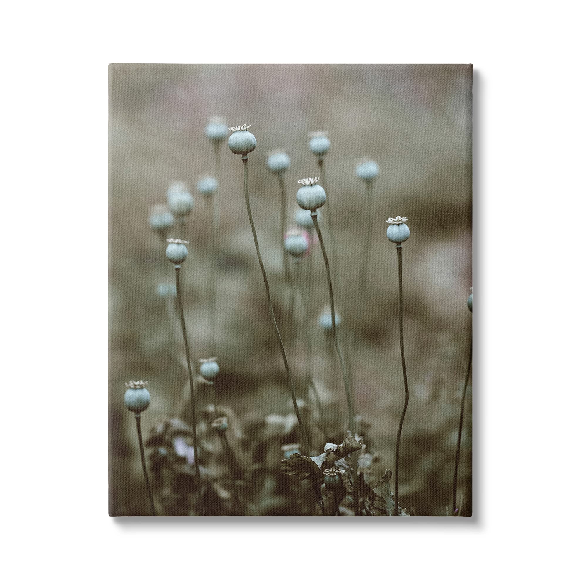 Stupell Industries Serene White Floral Bulb Woodland Photography Wall Art - Nature-Inspired Home Decor for Living Room, Bedroom & Office
