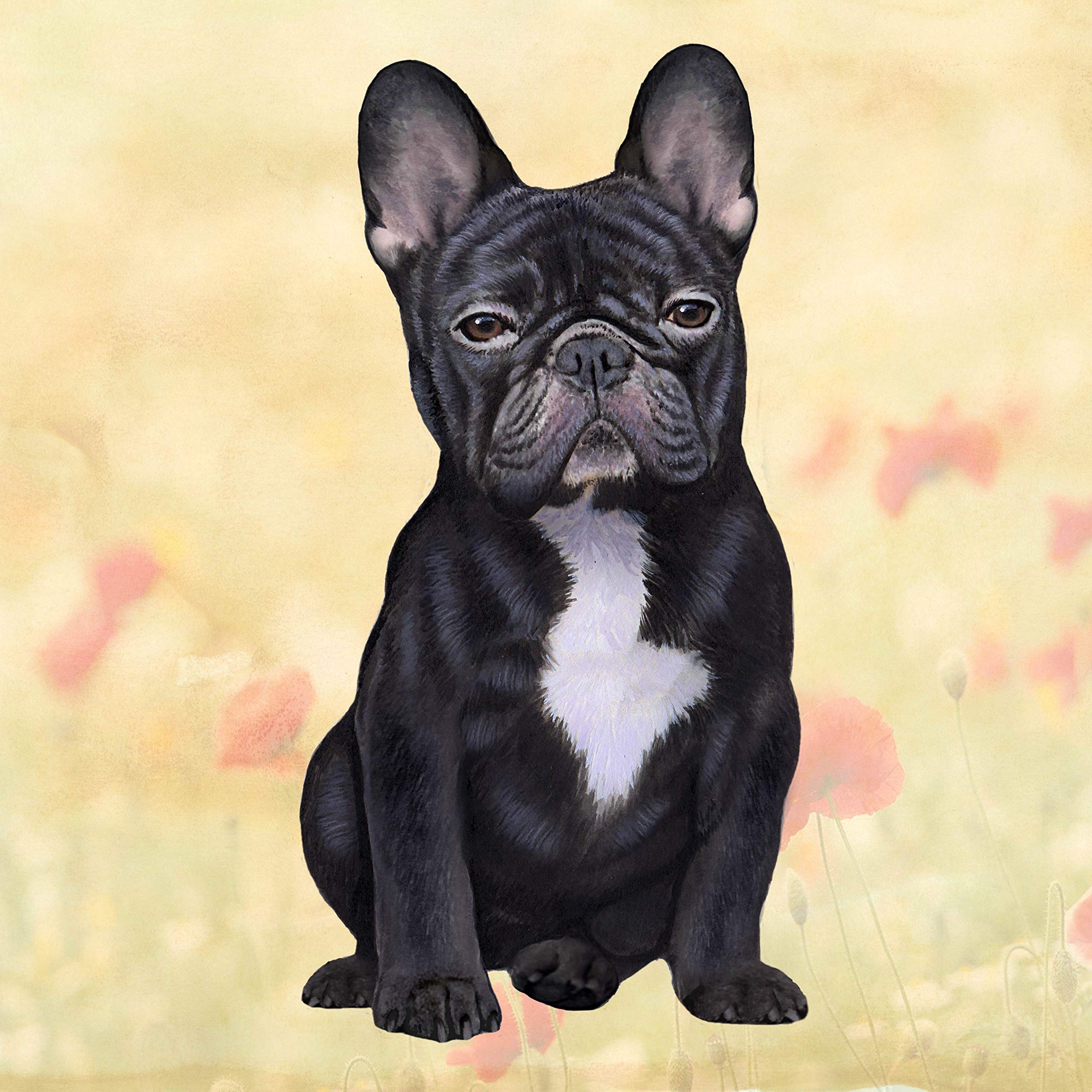 French Bulldog Absorbent Stone Coaster Set - Cork Back Protects Furniture from Scratches & Water Rings - Perfect for Coffee Tables, Desks, and Home Decor