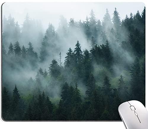 09 Misty Forest