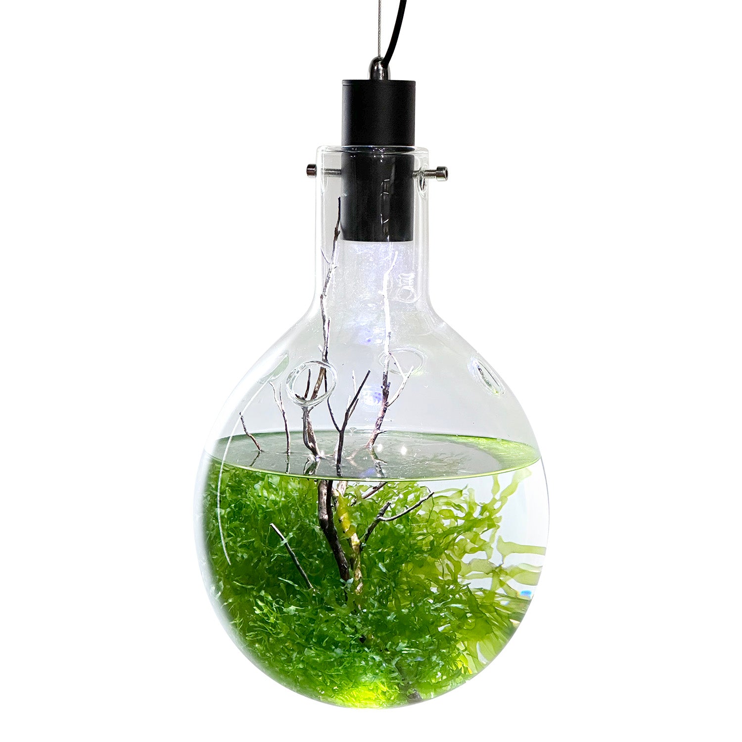 Premium SR Aquaristik Large Luminarium Aquarium with RGB LED Lighting - Perfect for Home, Office & Aquatic Pet Stores