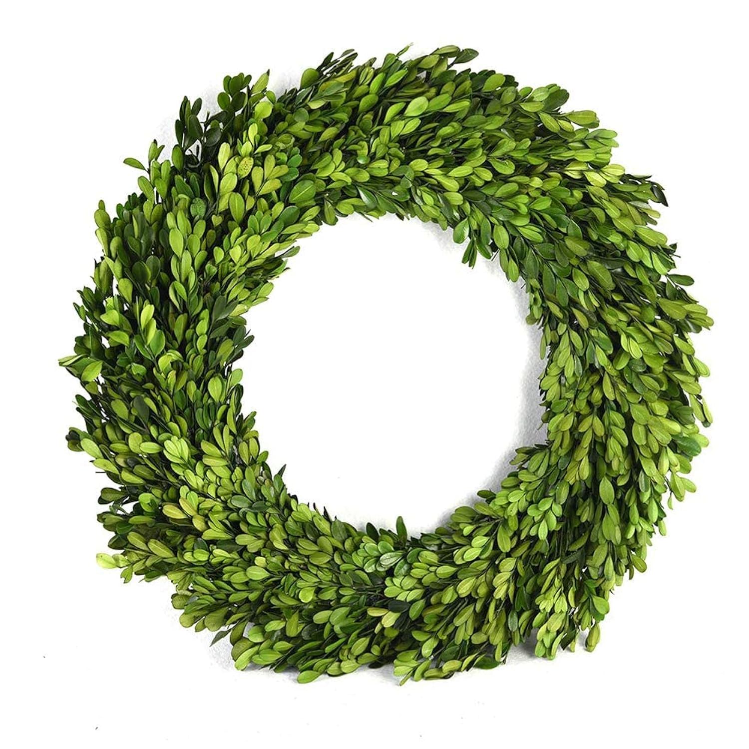 12 Inch Preserved Boxwood Wreath - Natural Green Home Decor for Farmhouse, Spring & Summer - Long-Lasting Freshness for Years - Perfect for Door, Wall, Mantel & Holiday Decorations