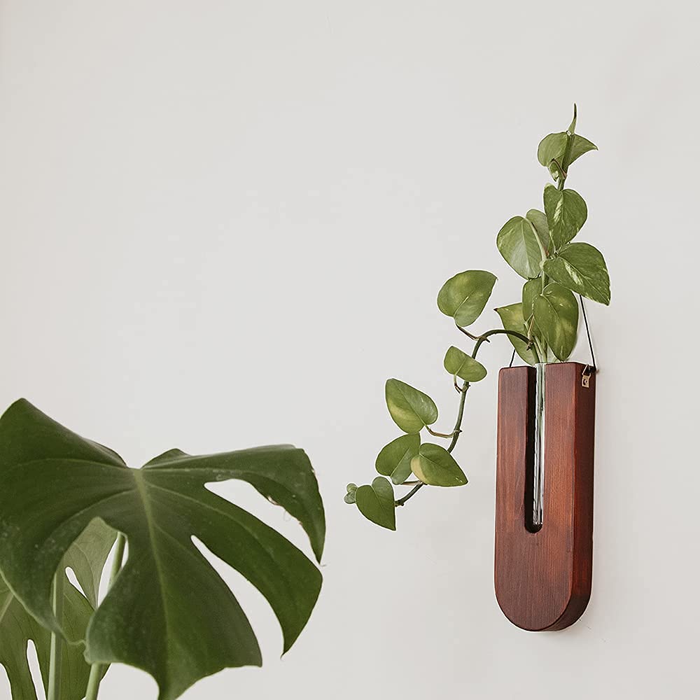 Hanging Planters for Indoor Plants - Self Watering Succulent Planters with Boho & Farmhouse Wall Decor - Perfect for Home, Office, and Garden Decor