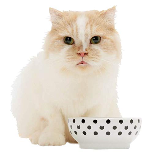 Cat Dots