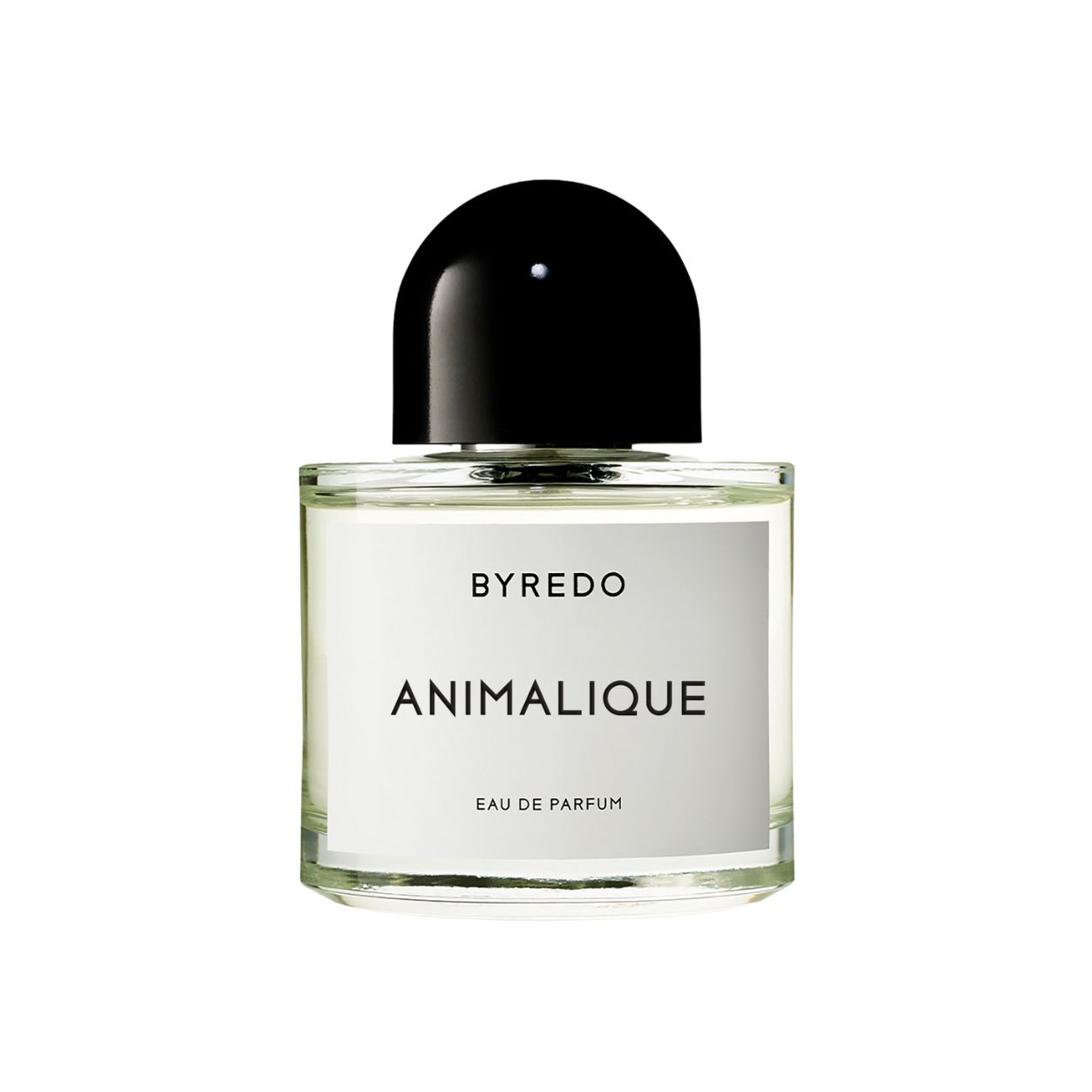Animalique Eau de Parfum for Women - Long Lasting Floral Fruity Fragrance - Perfect for Date Night, Office & Special Occasions