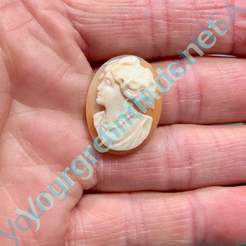 Hand Carved Italian Antique Shell Cameo Jewelry - Vintage Brooch for Collectors & Fashion Accessories